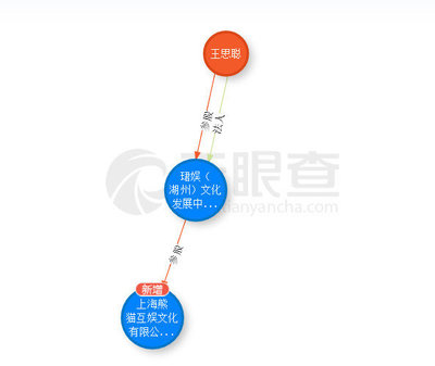 起底王思聰投資神話 吹出來的泡沫？